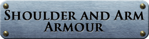 Shoulder and Arm Armour